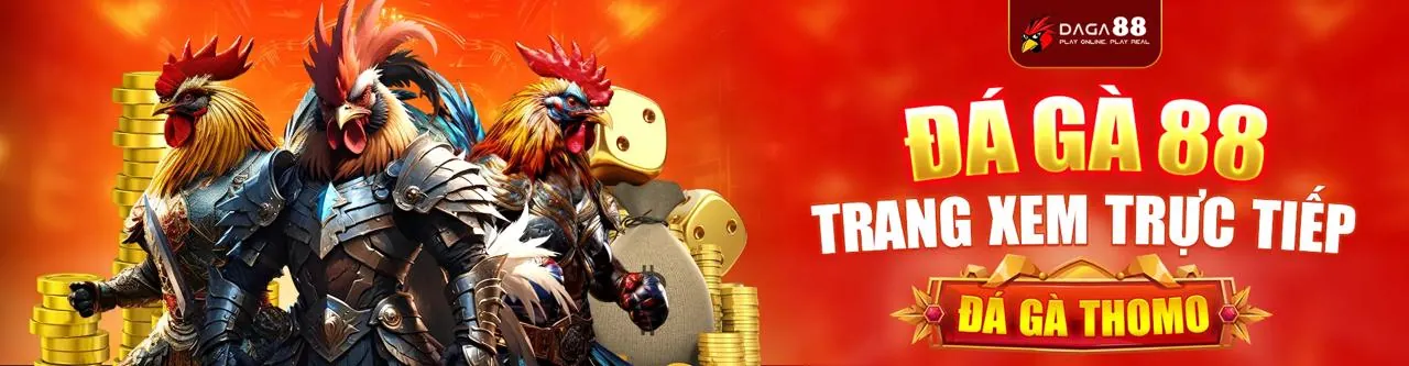 Sân đấu đá gà trực tuyến sôi động tại hit88