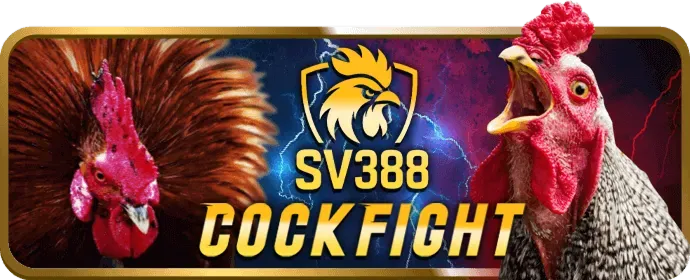 Trò chơi slot hit88